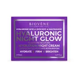 BIOVENE Crema de noche hyaluronic glow 50 ml 
