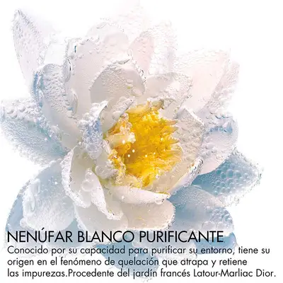 DIOR Desmaquillante de ojos y labios <br> tratamiento bifásico con extracto de nenúfar blanco purificante <br> 125 ml 