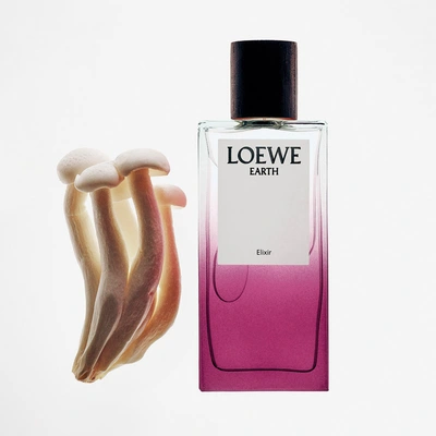 LOEWE Earth elixir<br>eau de parfum 