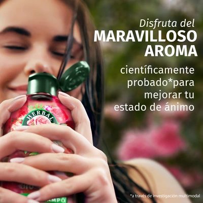 HERBAL Champú rosa 350ml 