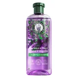 HERBAL Champú lavanda 350ml 