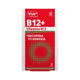 VITTALISSIMA Vive + b12+ vitamina b12 5 sobres 