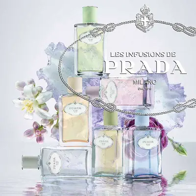 PRADA Infusion diris 