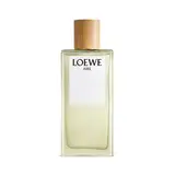 LOEWE Aire 