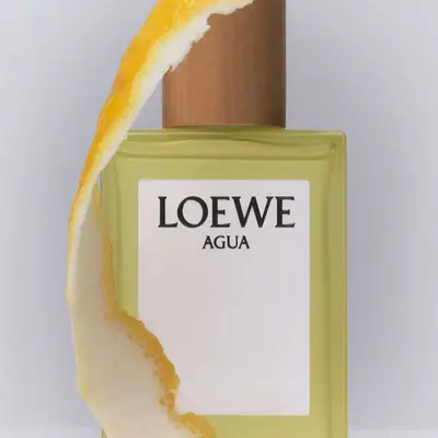 LOEWE Agua 