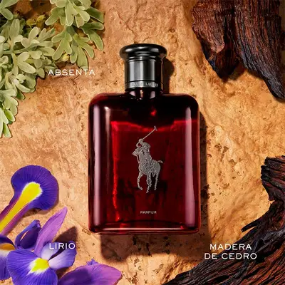 RALPH LAUREN Polo red <br> parfum 